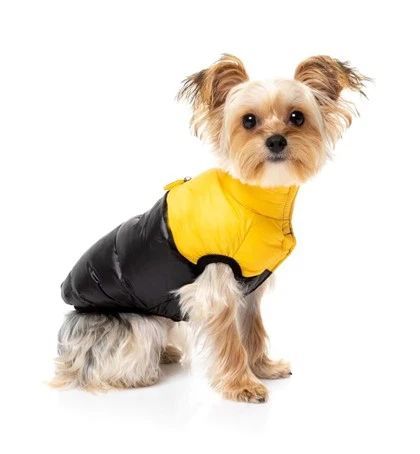Dog Puffer Jacket